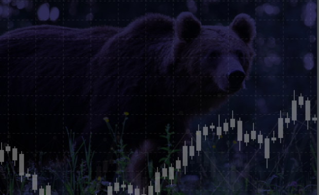 Bear Market Strategy